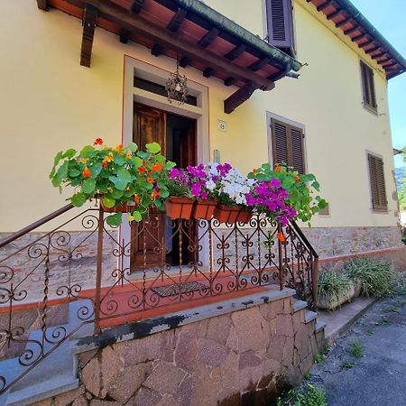 A Collodi Io & Mamma100 M Dal Parco Di Pinocchio Bed & Breakfast Екстериор снимка