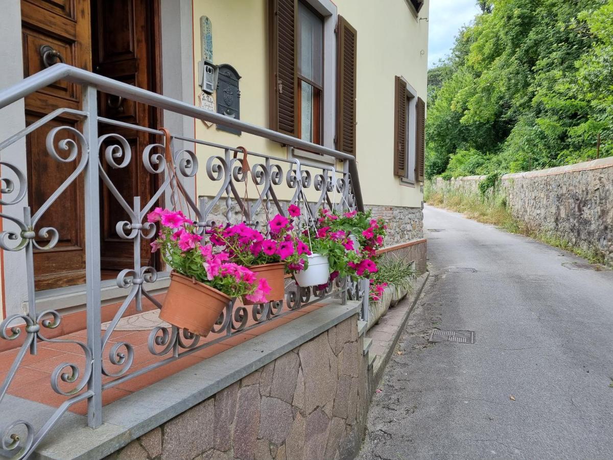 A Collodi Io & Mamma100 M Dal Parco Di Pinocchio Bed & Breakfast Екстериор снимка